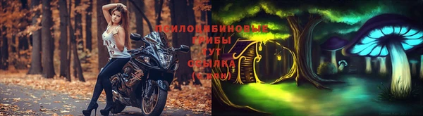 каннабис Алексеевка