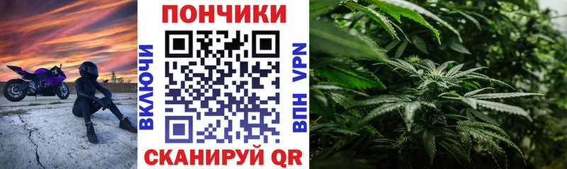наркошоп  дарк нет наркотические препараты  МАРИХУАНА OG Kush  Тихвин 